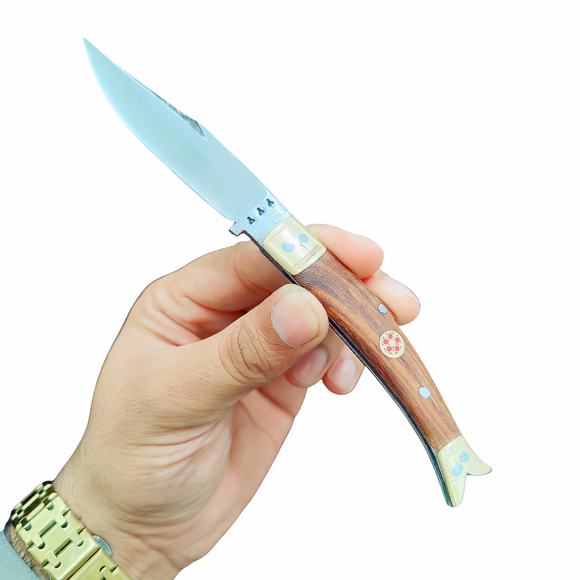 Design Fish Dual