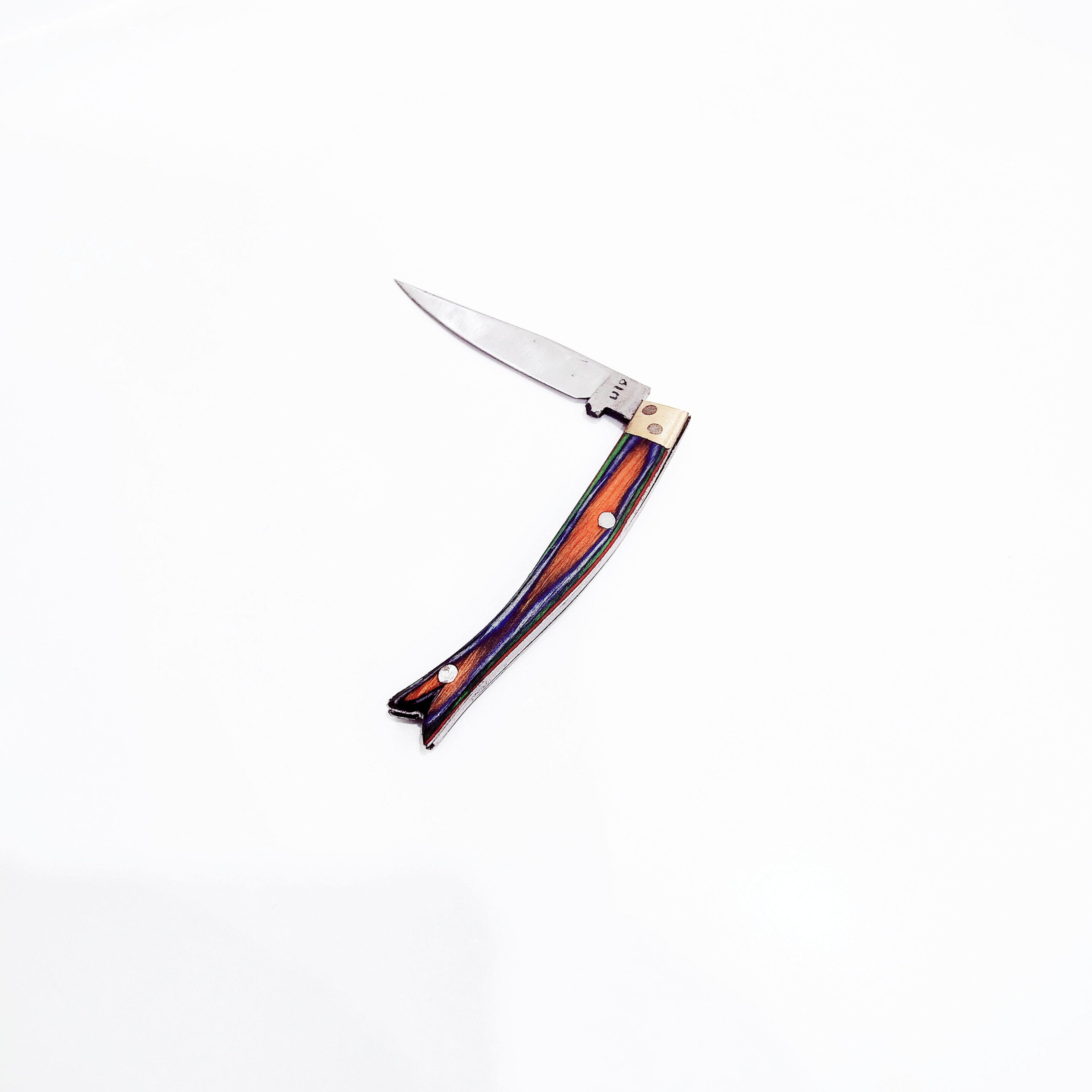 Fish S-Slim